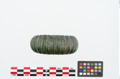 Foto von Bronzemelonenarmreif (NHMW-PRAE-024971)